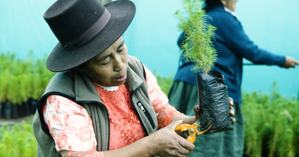 Trafigura Foundation’s work to improve the quality of life within ...